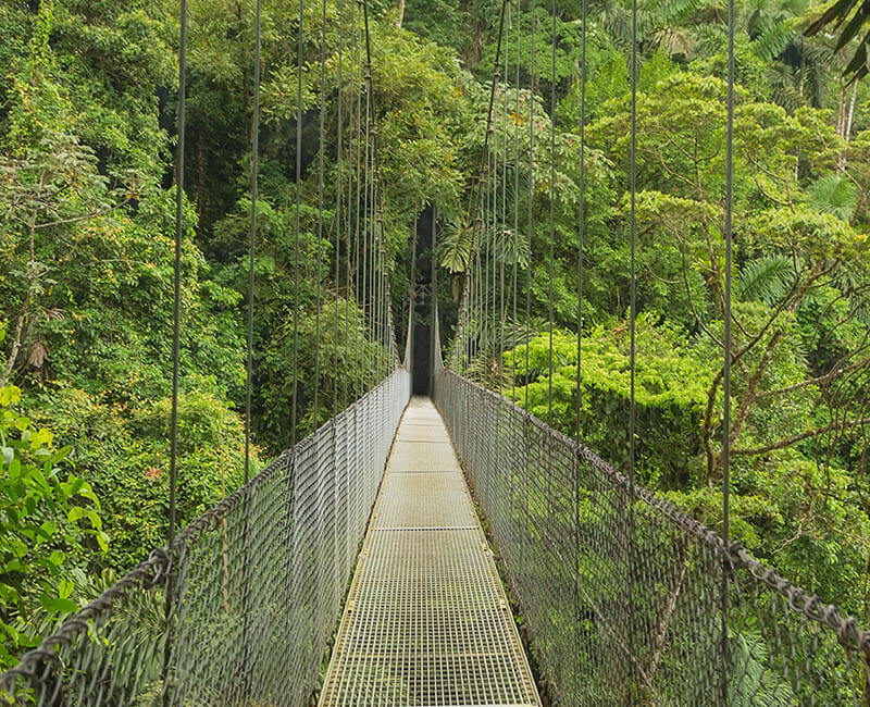 Costa Rica- entre volcans, jungle et tortues de mer