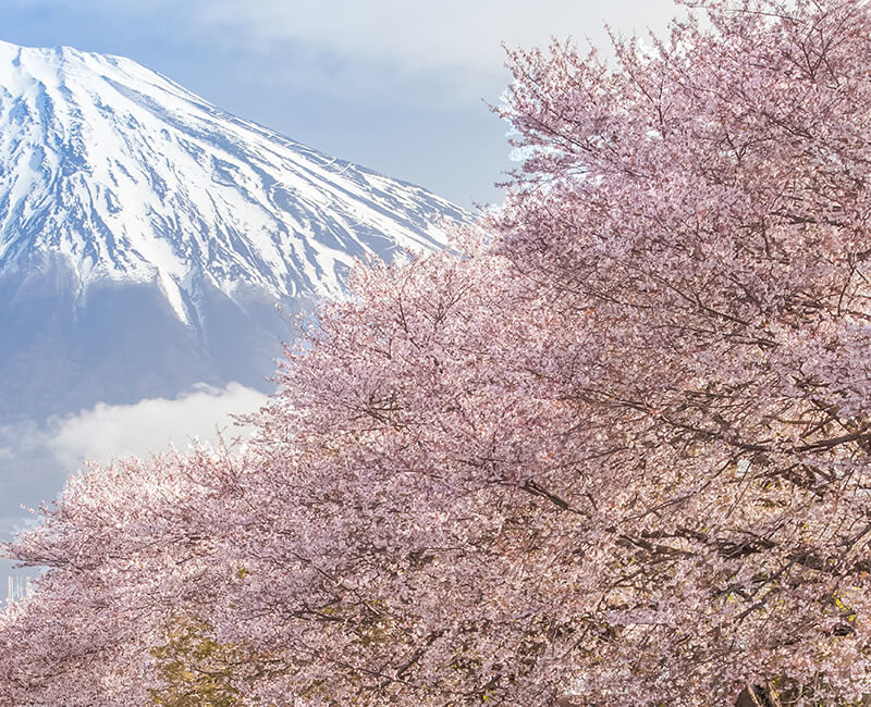 Voyage au Japon - La Golden Route