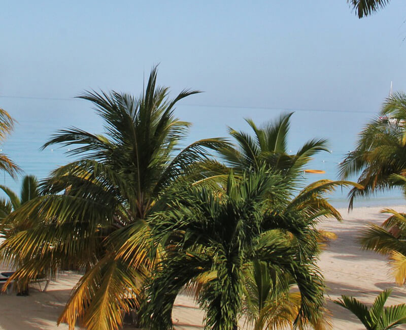 Jamaïque au Pays du Reggae