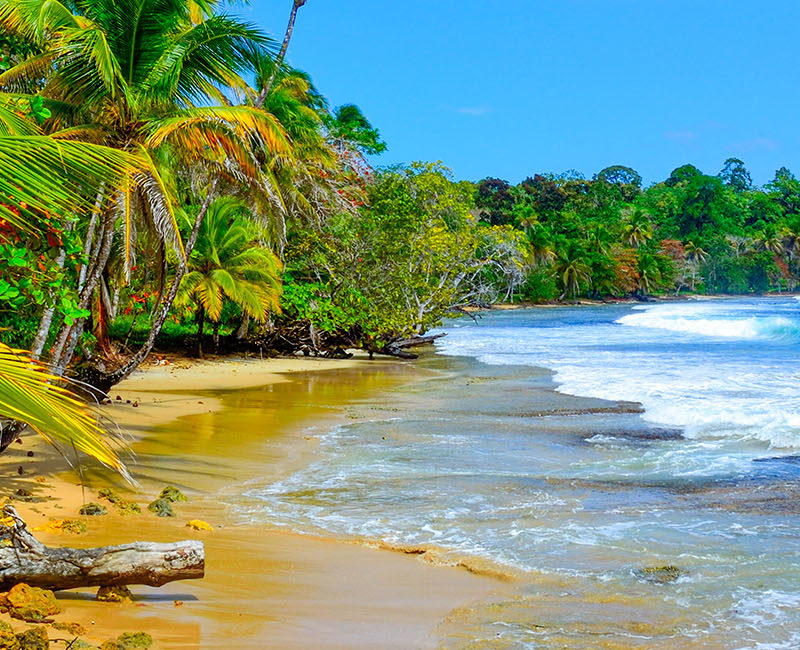 Croisière PONANT - Trésors en mer des Caraïbes