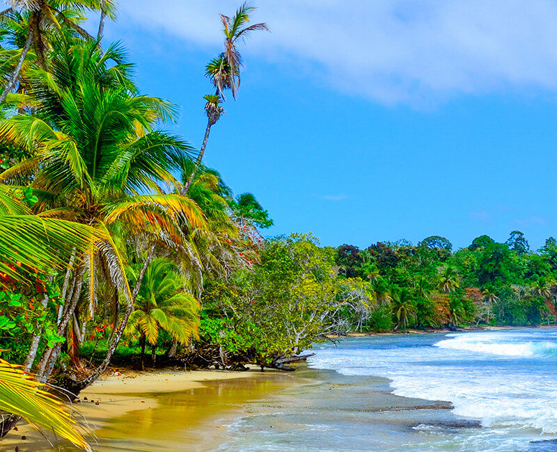 Croisière Star Clippers - Panama - St. Martin au bord du Star Flyer