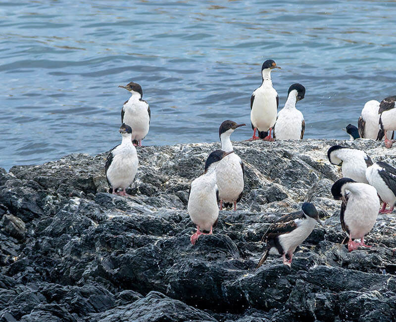 Croisière MSC - Italie, Espagne, Maroc, Cap Vert, Brésil, Argentine à bord du MSC Orchestra