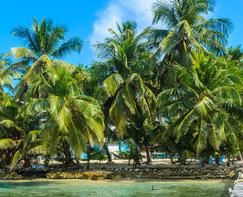 Croisière Cunard -Grand Voyage : San Francisco / Brisbane à bord du Queen Victoria Cunard