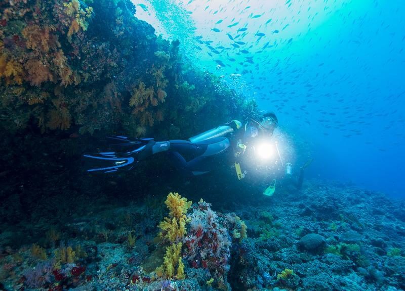 The Barefoot Eco Hotel Atol Hanimaadhoo 4 étoiles Maldives