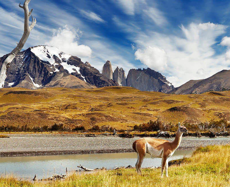 Croisière Hurtigruten - Venezuela,Chili,Antarctique à bord du MS Roald Amundsen