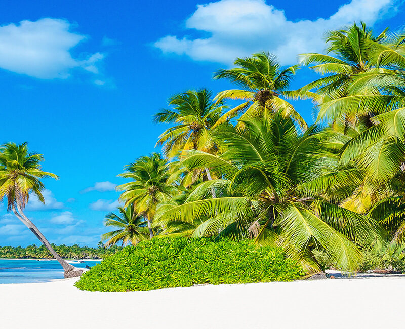 Croisière Royal Caribbean - Haïti, Bahamas, Etats-Unis, Porto Rico, Vierges (îles) à Bord d'Allure of the Seas