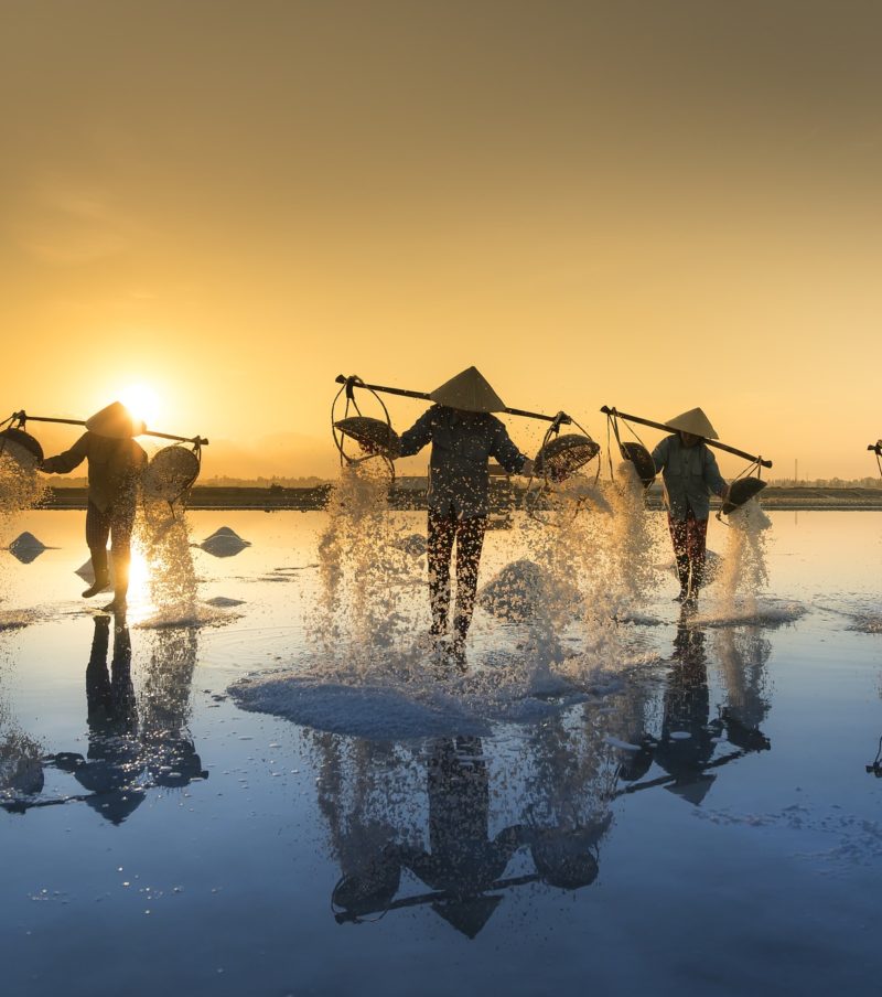 Circuit - Écotourisme au Vietnam - En famille