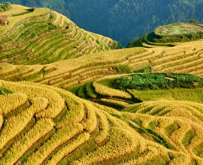 Croisière Cunard -Grand Voyage : de Hong Kong à Southampton à bord du Queen Mary 2 Cunard