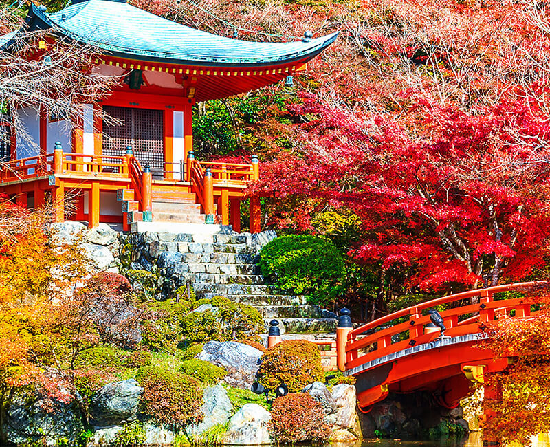 CROISIÈRE PONANT La mer d'Okhotsk - avec National Geographic