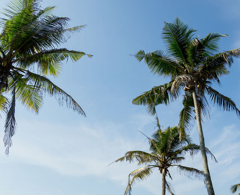 Sri Lanka – A la découverte de la terre des éléphants