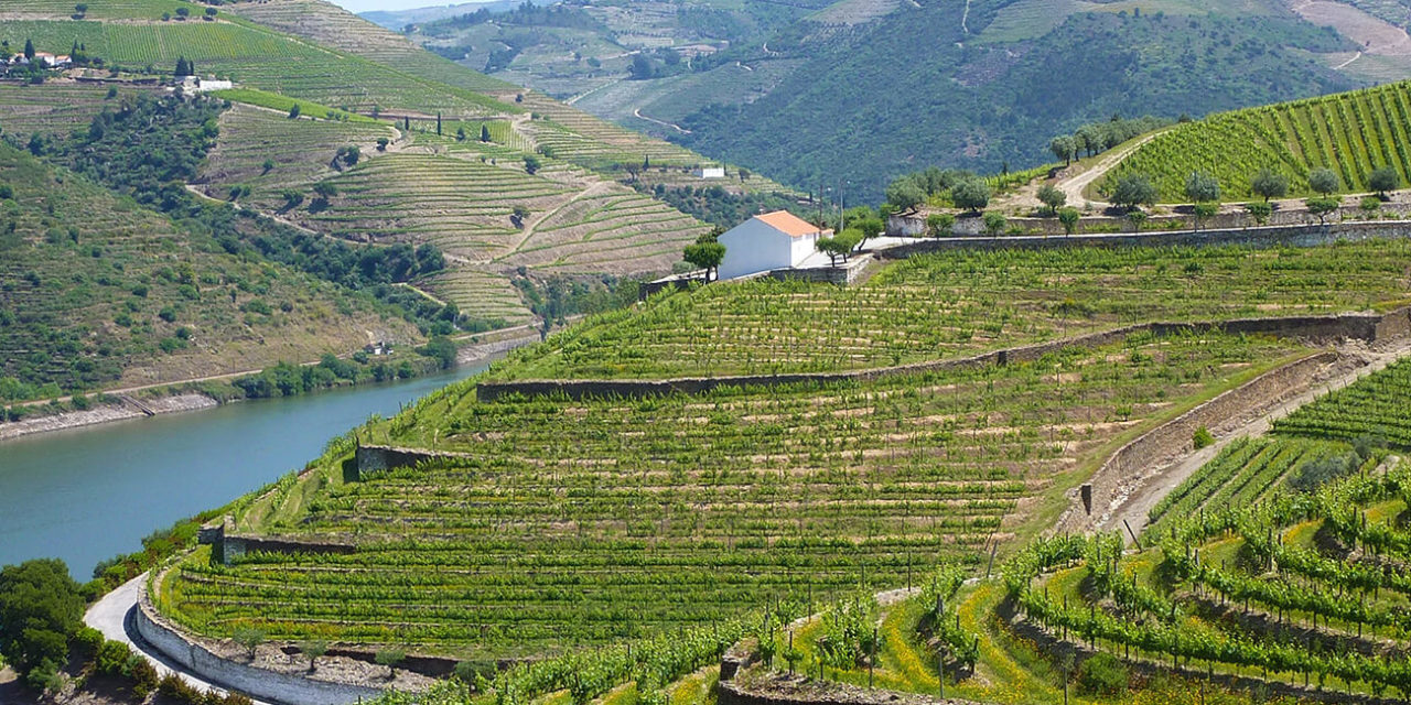 L’Essentiel du Portugal: entre la route du vin et Lisbonne