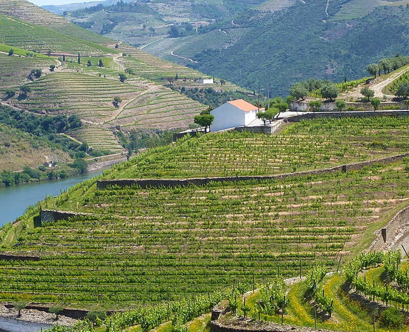 L'Essentiel du Portugal: entre la route du vin et Lisbonne