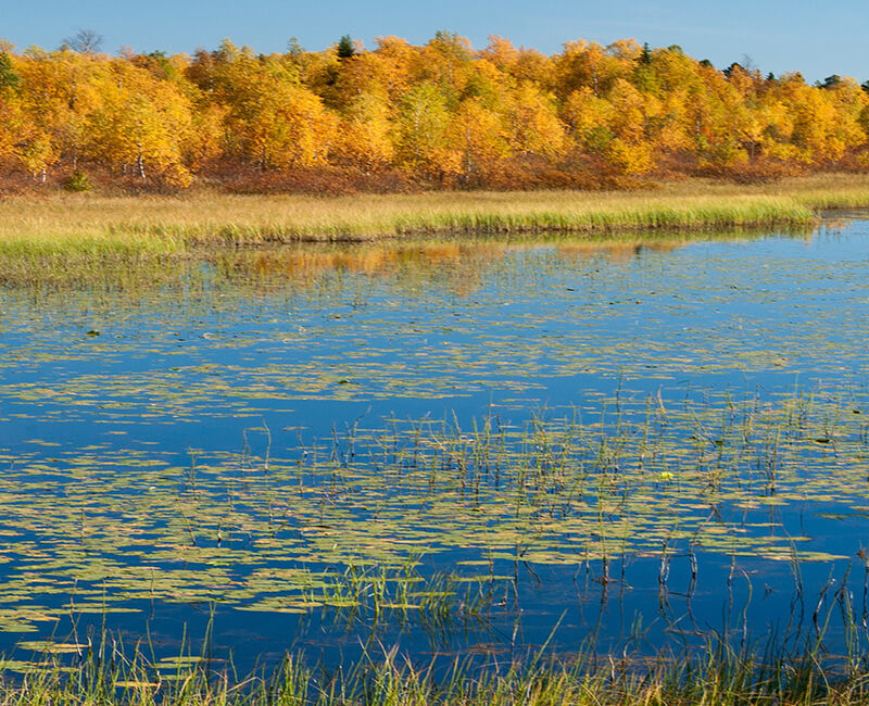 Croisière Celebrity Cruises-Europe du Nord à bord du Celebrity Silhouette