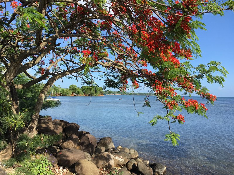 EDEN FOREST Pointe-Noire, Guadeloupe