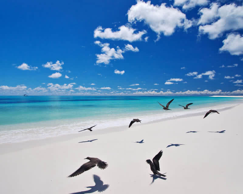 Bird Island Lodge Seychelles 5 étoiles Île aux Oiseaux Seychelles