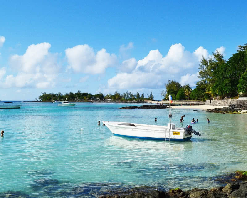 Flowers of Paradise Pereybère, Île Maurice