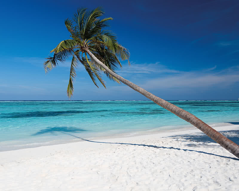 Meeru Island Resort & Spa 4 étoiles Atoll Dhiffushi Maldives