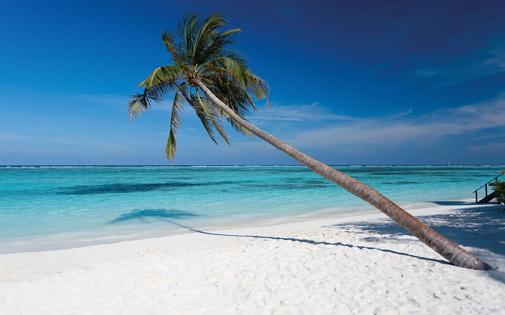 Meeru Island Resort & Spa 4 étoiles Atoll Dhiffushi Maldives