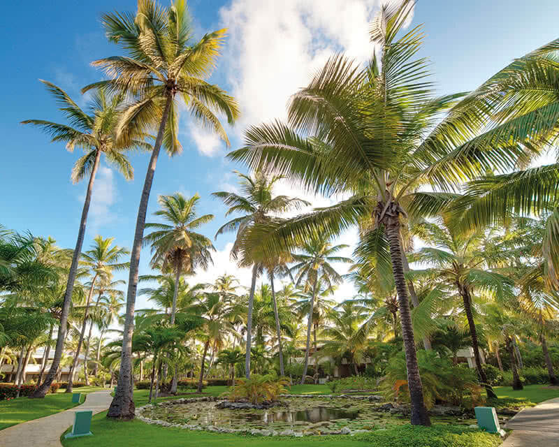 Meliá Caribe Beach Resort-All Inclusive Punta Cana, République dominicaine