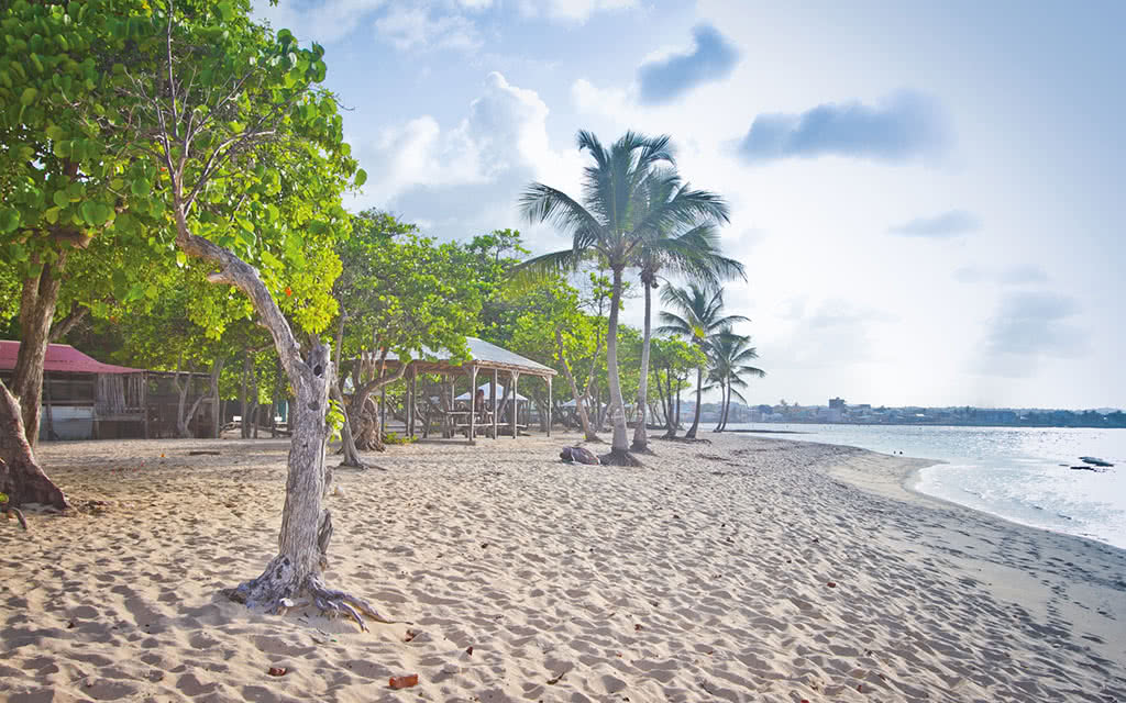 Résidence Tropicale Le Moule, Guadeloupe