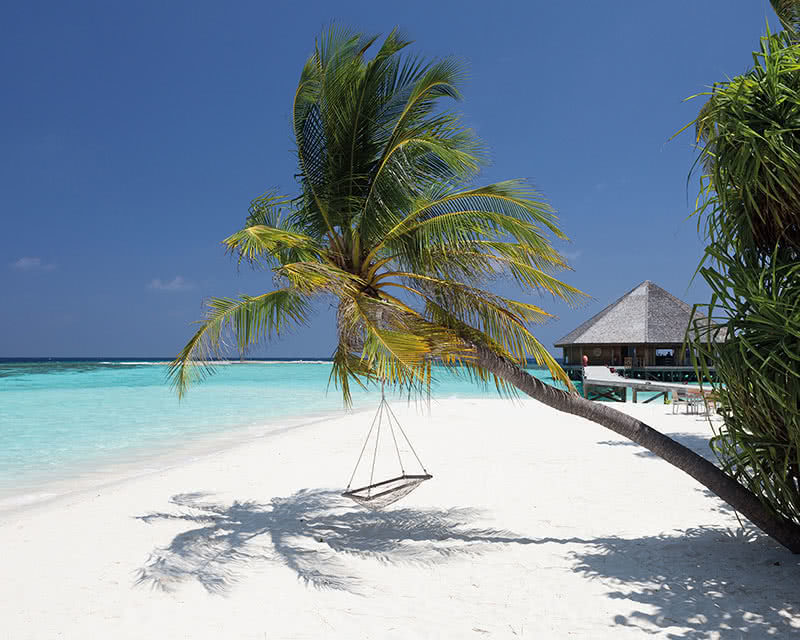 Vilamendhoo Island Resort & Spa 4 étoiles Atoll Dhangethi Maldives