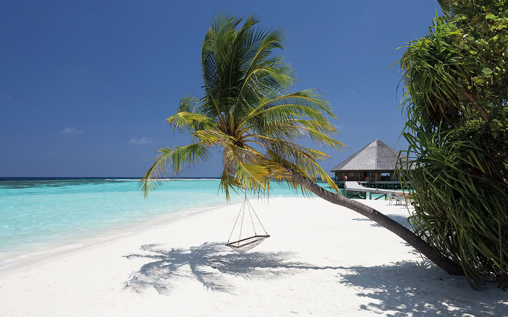 Vilamendhoo Island Resort & Spa 4 étoiles Atoll Dhangethi Maldives